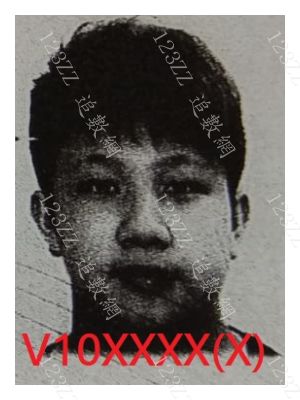 Case no.3446